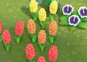 모동숲 꽃 가꾸기