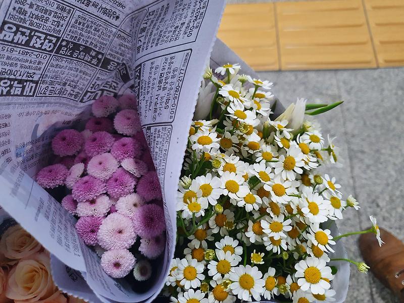 [토요일 남대문 꽃시장 후기] 대도꽃상가 헤라장미, 소국, 마트리카리아(주차요금)