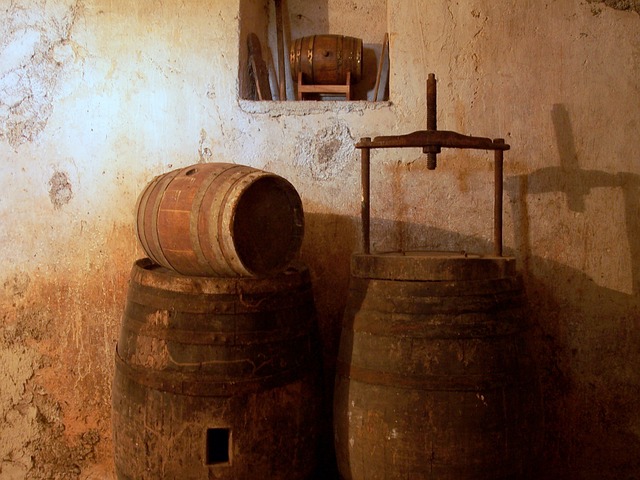 와인의 시작은? 와인의 역사에 대해 알아보기
