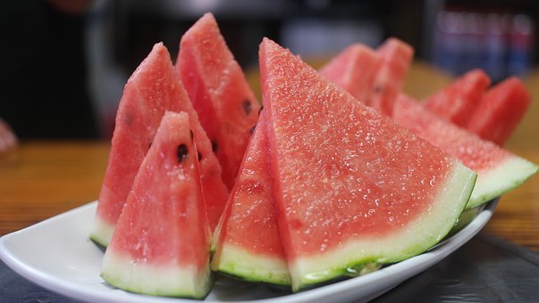 수박( watermelon)가꾸기 가장 쉬우면서 최고로 많이 열리는 방법 꼭 보세요!