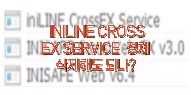 INILINE CROSS EX SERVICE 악성코드인가? 바이러스?