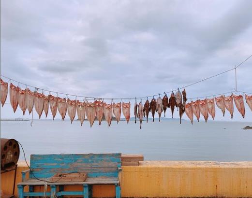 대한민국라이브 소야도 해풍건조 생선 파는곳 자연산횟집