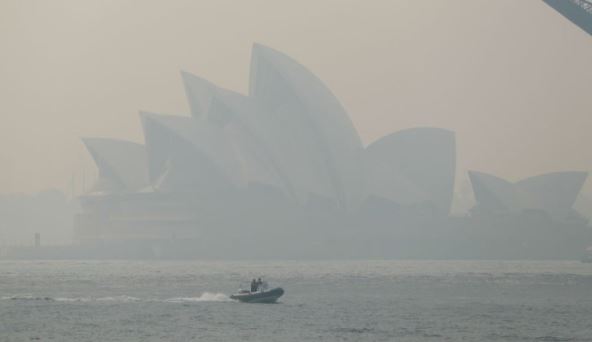 호주 산불 원인 위성사진 코알라 피해규모