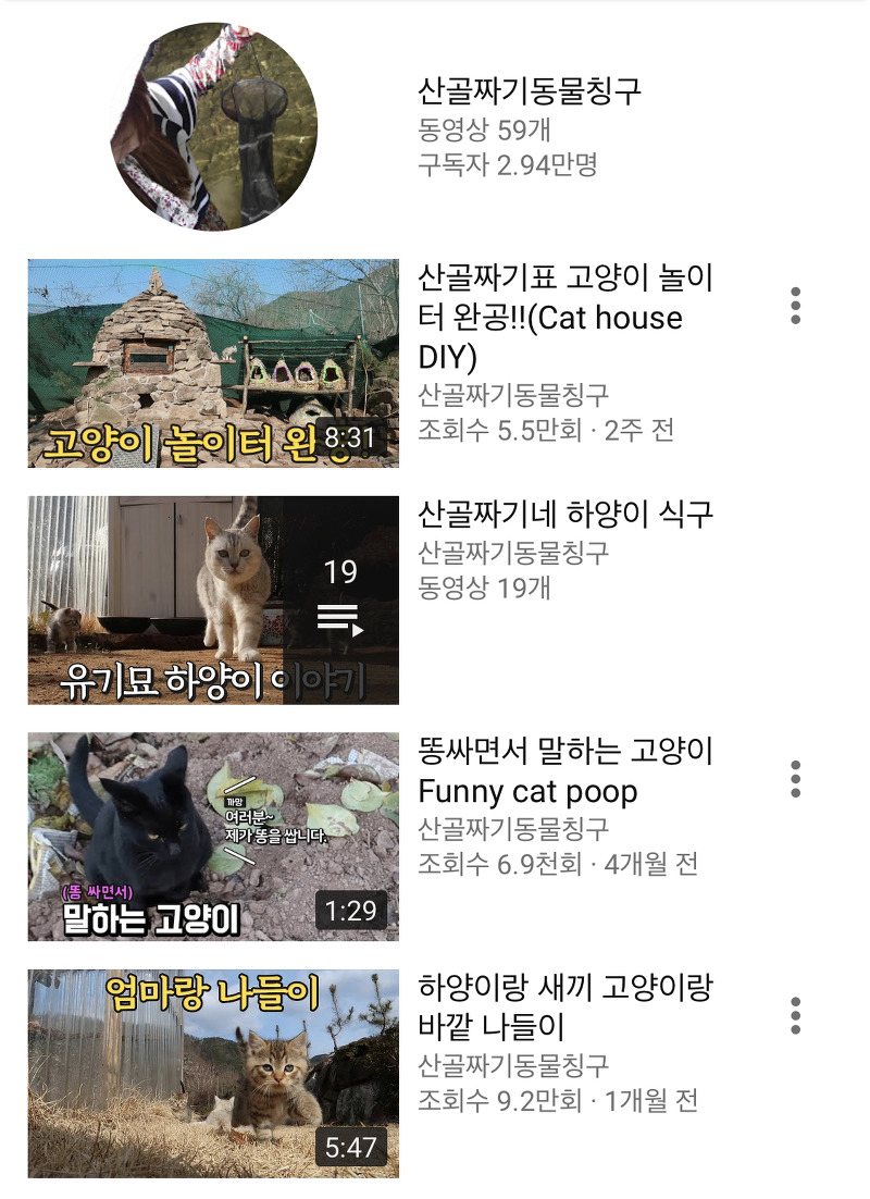 고양이 유튜브 추천 (고양이 집사의 구독 목록)