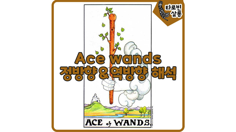 [웨이트 타로 해석] Ace of Wands 에이스 완드 정방향 & 역방향 의미