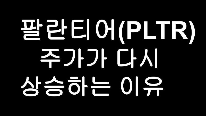 팔란티어 (PLTR) 주가가 다시 반등하는 이유?! Palantir 2분기 실적발표 덕?!