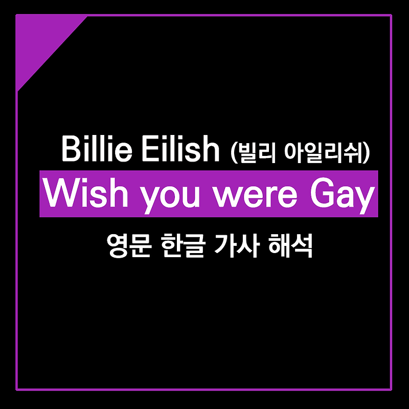 Billie Eilish 빌리 아일리쉬, Wish you were Gay 한글 가사 해석