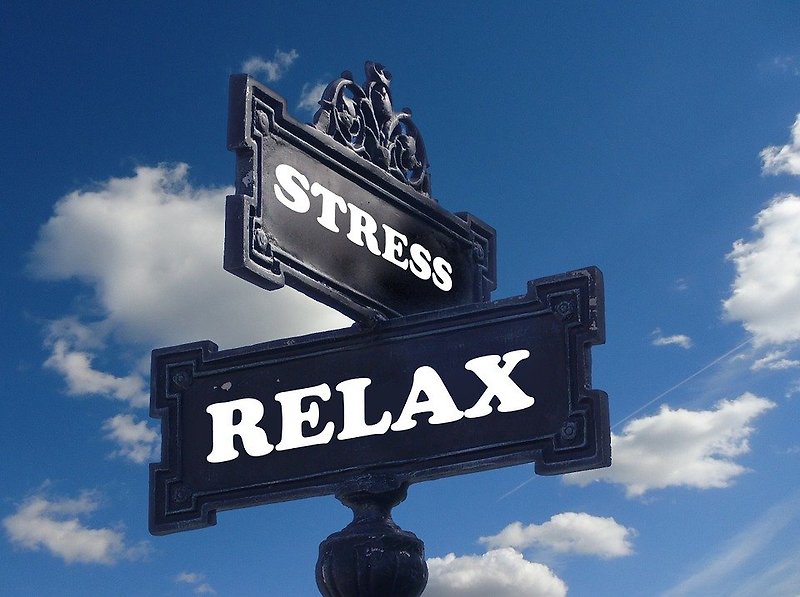 [스트레스와 건강(3)] 건강과 대처법; 스트레스 대처법과 감소법
