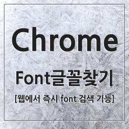 크롬에서 글꼴 찾기 클릭으로 쉽게 Find Font