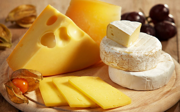 치즈의 종류 특성 보관법  / 톰과 제리 치즈는?
