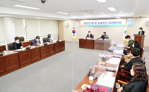 부산 해운대구, 캣맘 제도권 편입 '동물복지 실무협의회' 구성