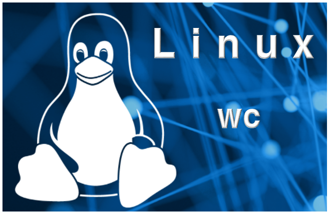 [Linux] 리눅스 서버, wc 명령어 사용법 및 옵션 사용법 총정리