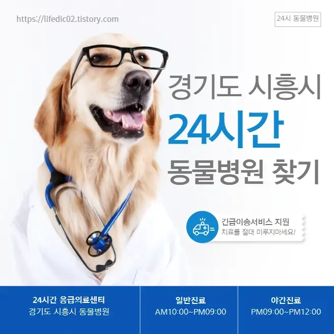 시흥시 24시간 동물병원 근처 야간 일요일 강아지 병원 찾기