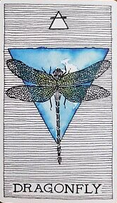 [오라클카드배우기/와일드언노운애니멀스피릿]The Wild Unknown Animal Spirit Dragonfly 잠자리 해석 및 의미