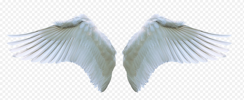 천사 날개 합성 자료