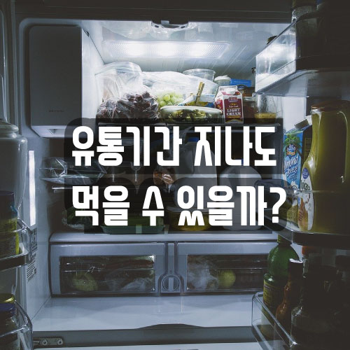 유통기한 지난 우유, 요구르트, 요플레 언제까지 먹을 수 있을까? (소비기한 정보)