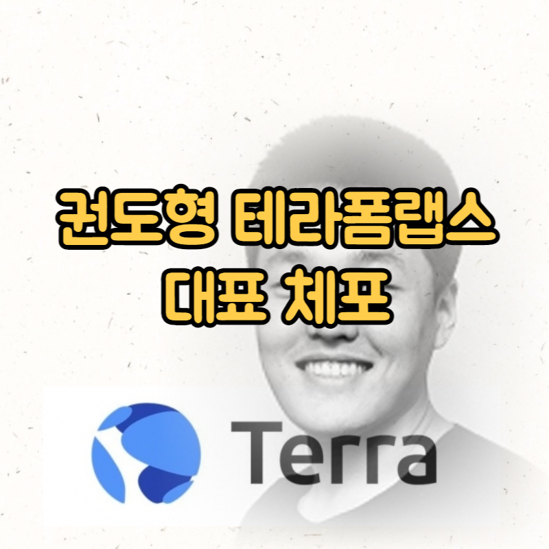 권도형 테라폼랩스 대표 체포, 한국 송환은?