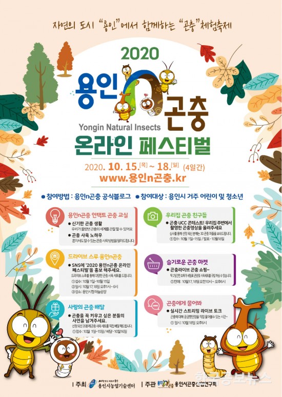 용인시, '용인n곤충 페스티벌' 온라인으로 개최
