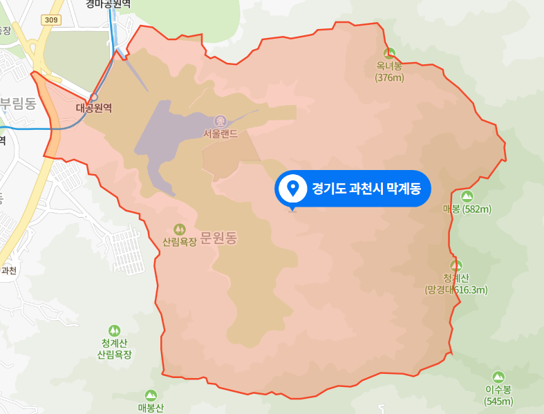 경기도 과천시 막계동 비닐하우스 화재사고 (2021년 2월 28일)