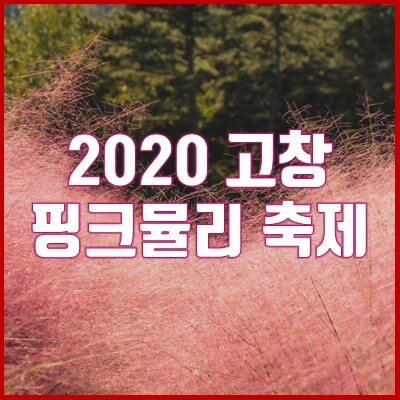 [축제] 2020년 고창 핑크뮬리 축제, 일정 및 장소 안내