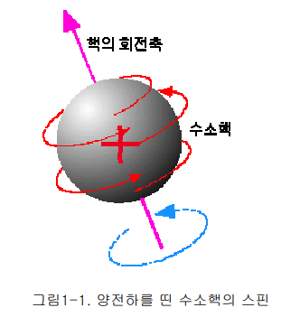 핵  스핀(Nuclear Spin)과 핵자기 쌍극자(Nuclear Magnetic Moment)