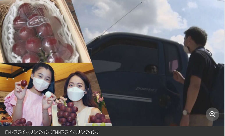 현재 한국 농가가 포도 루비로망 도둑질했다고 일본 네티즌 난리남