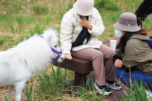 한국마사회, 2022년 상반기 전국 말(馬) 방역사업 시행... '말도 백신 맞는다'