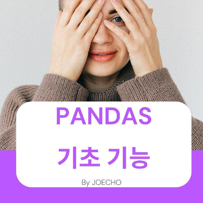 Pandas(판다스) 기초 기능