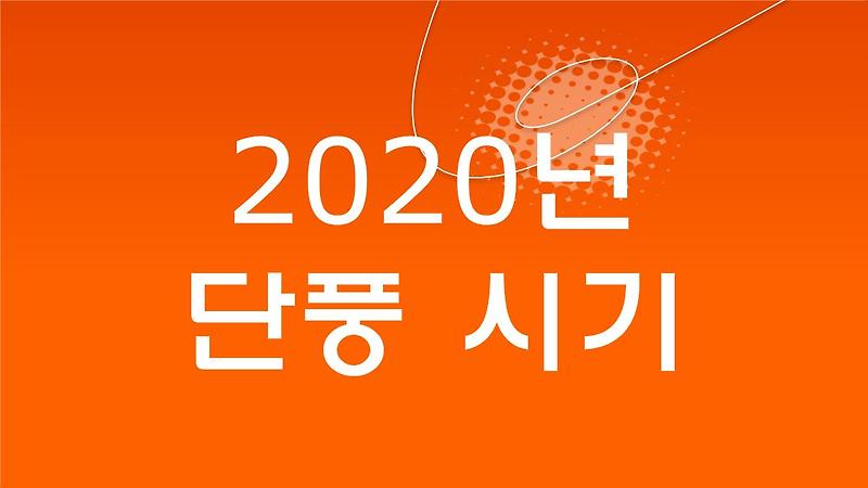2020 단풍 절정 시기(주요 지역)