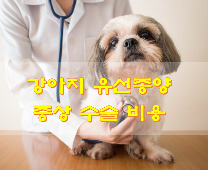 강아지 유선종양 증상 수술 비용