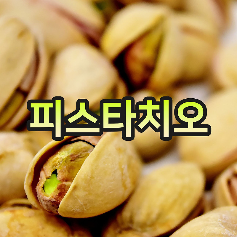 피스타치오(Pistachio) 효능 빠르게 훑어보기!