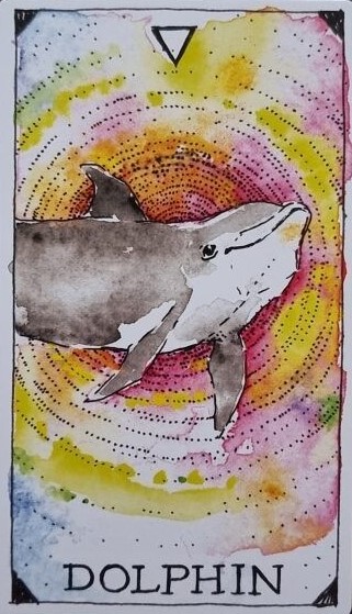 [오라클카드배우기/와일드언노운애니멀스피릿]The Wild Unknown Animal Spirit Dolphin 돌고래 해석 및 의미