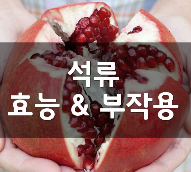 [석류 효능과 먹는법] 석류로 건강을 챙기세요!