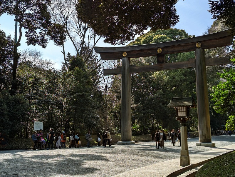 일본 도쿄 여행지 추천 메이지신궁 사진들 with 픽셀7 프로 카메라 성능
