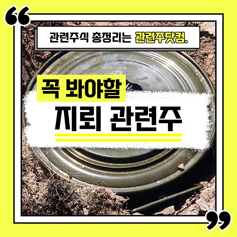 지뢰 관련주 총정리 TOP5(업데이트) | 대장주, 테마주 | 관련주닷컴