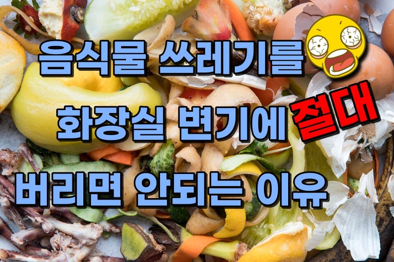 음식물 쓰레기를 화장실 변기에 절대 버리면 안되는 것들과 그 이유(혐오주의)