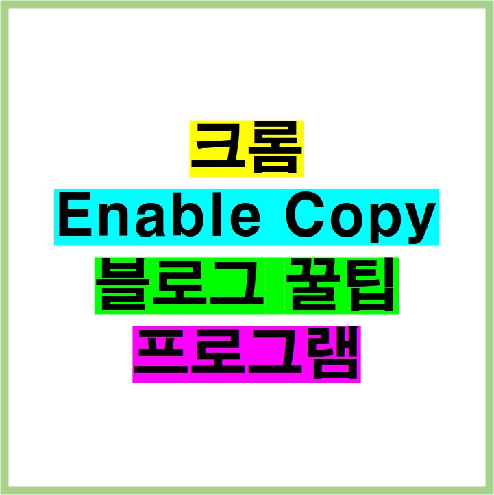 크롬 Enable Copy 블로그 꿀팁 프로그램