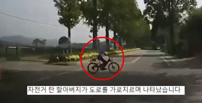 도로 가로지르는 자전거 할아버지(영상 있음)