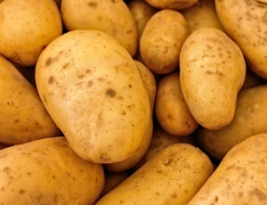 감자(Potato) 효능 및 먹는 방법