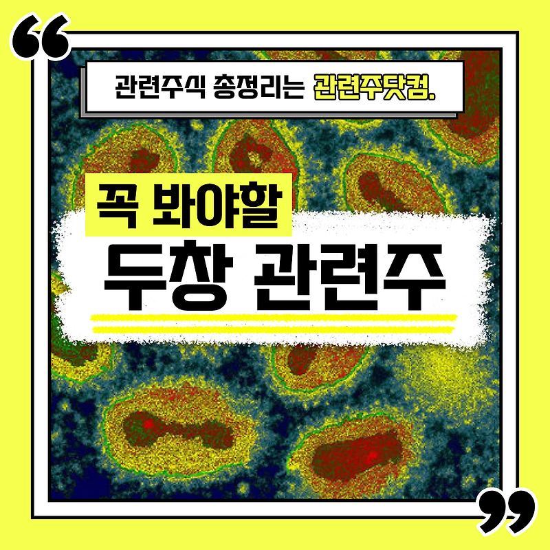 두창 관련주 총정리 TOP5 (업데이트) | 대장주, 테마주 | 관련주닷컴