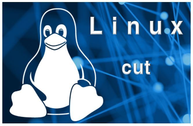 리눅스 기본 명령어 cut 사용법 및 옵션 총정리 - 문자열 자르기