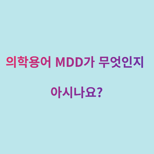의학용어MDD 가 무엇인지 아시나요?