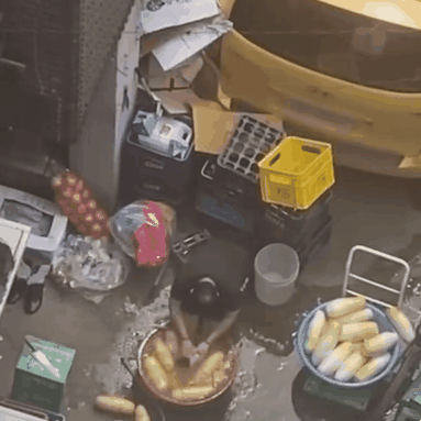 방배족발 무세척 동영상 직원 사장 위치 중국인 식당