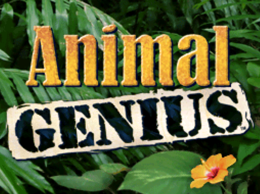 (NDS / USA) Animal Genius - 닌텐도 DS 북미판 게임 롬파일 다운로드