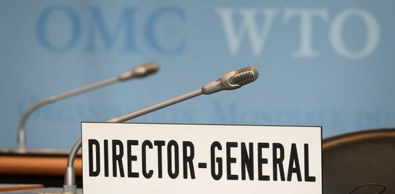 WTO 사무총장 후보, 선거일, 미국 지지 유명희 통상교섭본부장 당선 가능성