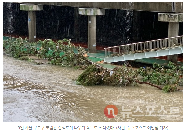 [신림/도림천] 기록적 8월 폭우 이후, 돌아온 도림천 근황