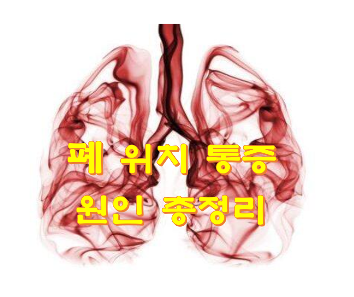 폐 위치 통증 원인 총정리