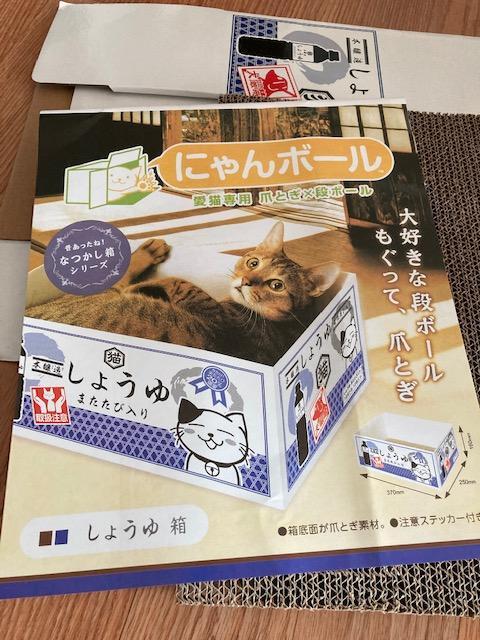 [고양이 스크래처 박스] 밍키의 박스