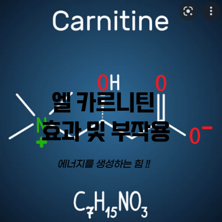 엘 카르니틴(L-carnitine) 효과 및 부작용 주의