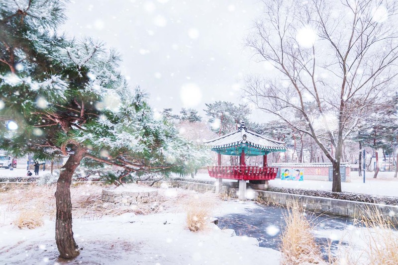 눈 내리는 서울 도봉구 방학동 원당샘 공원 설경